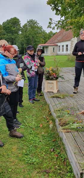 20.09.2025 Erineva struktuuriga mullad ja kasvukohad. Erinevate ilutaimede kooslused